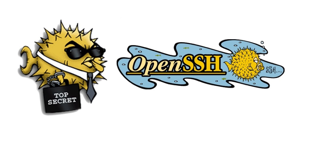 SSH Keys in openssh version 7.0+