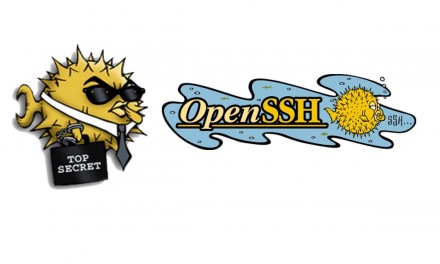 SSH Keys in openssh version 7.0+