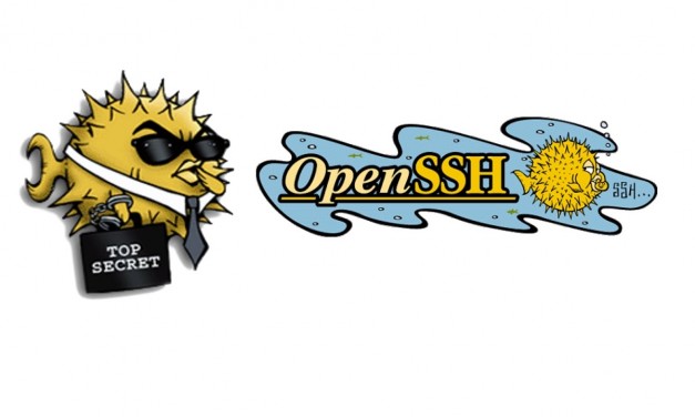 SSH Keys in openssh version 7.0+