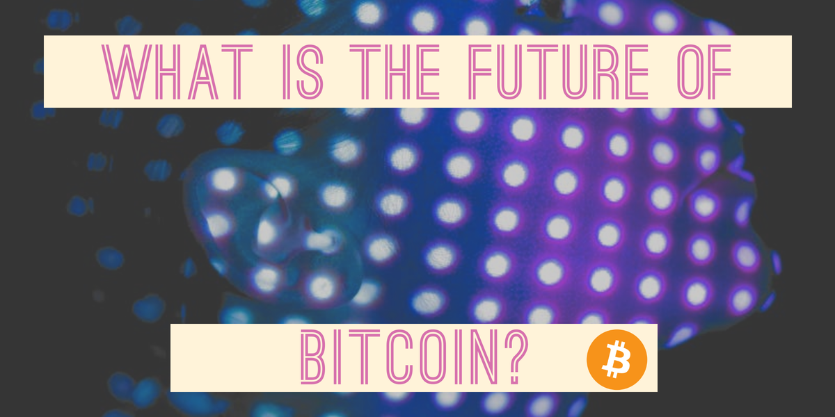 The future of Bitcoin is Bitcoin. Why?