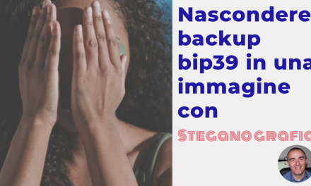 Bitcoin howto: nascondere backup bip39 in immagine steganografica