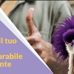 Nostr: Il tuo profilo Incensurabile e Elegante