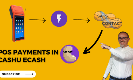 Ancora oltre: Pagamenti Lightning in POS sotto forma di CASHU