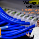 Voltage chiude selfservice. Alternative per Nodi Lightning